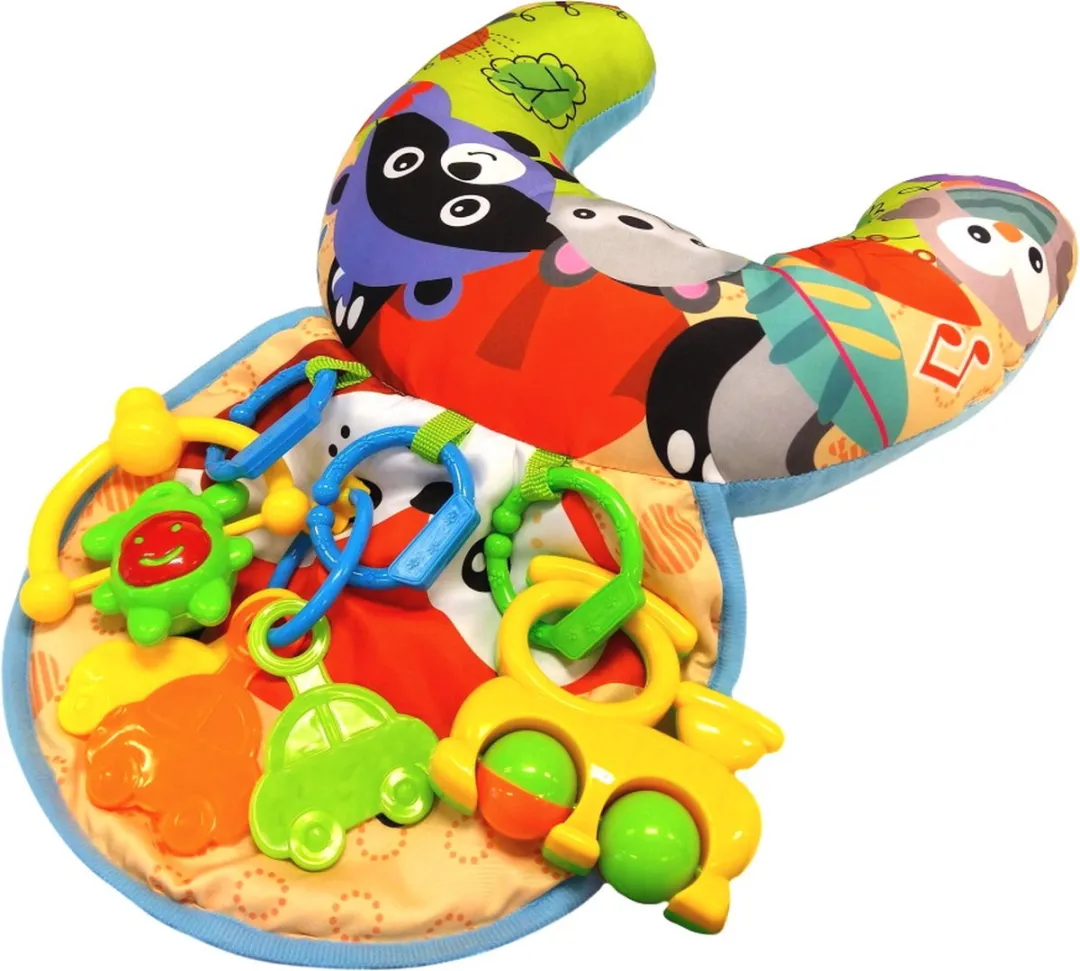 Eco Toys Vos Buiktrainer Multicolor