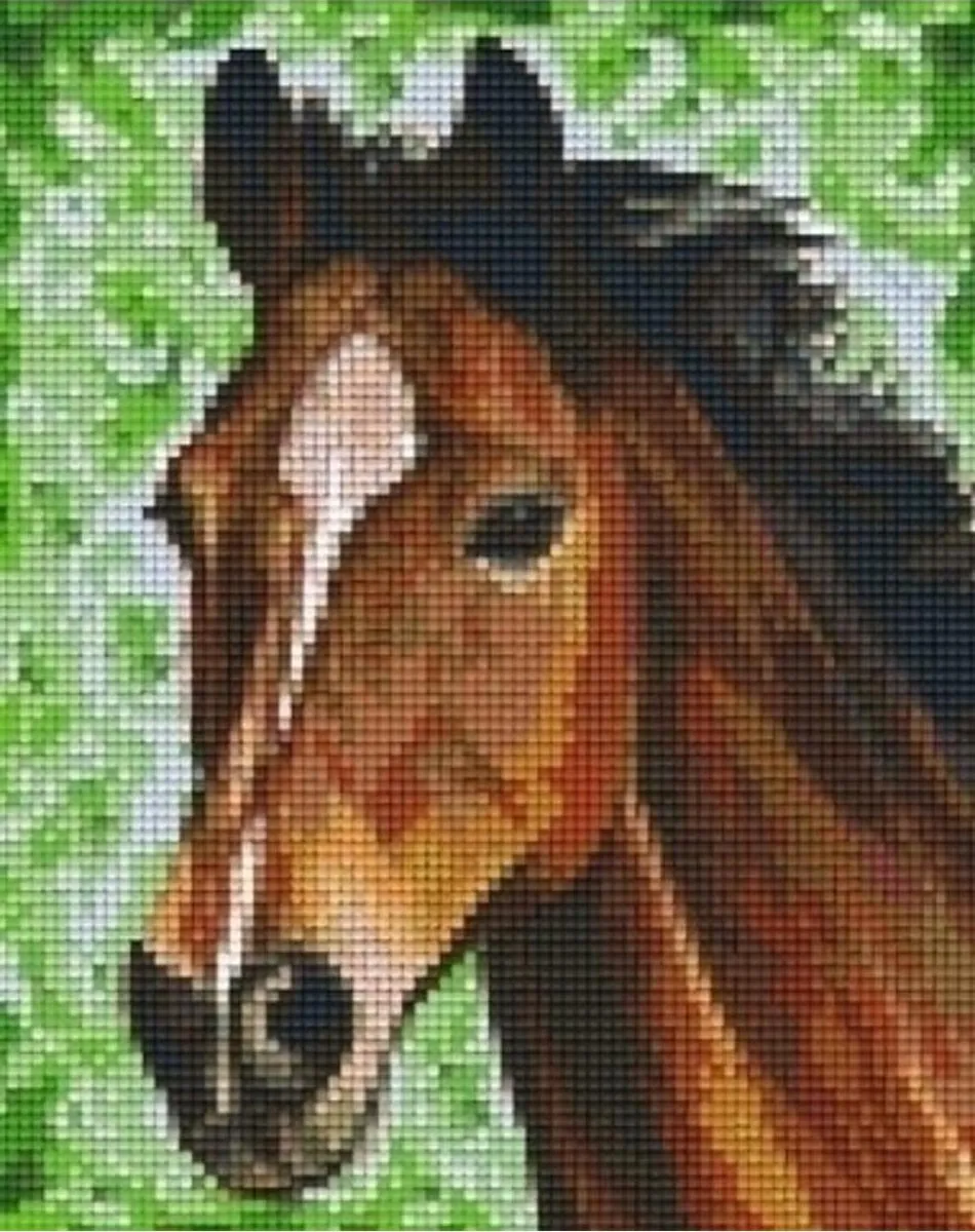 Pixelhobby Paard Geschenkset 90027 - 4 Basisplaten - 100 Pixelmatjes