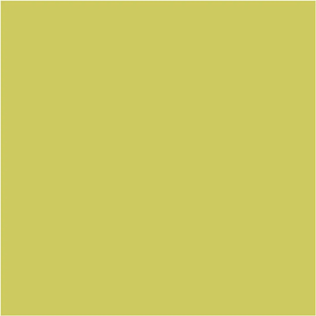 Creativ Company CC Creotime Textile Color Solid Kiwi 50ml