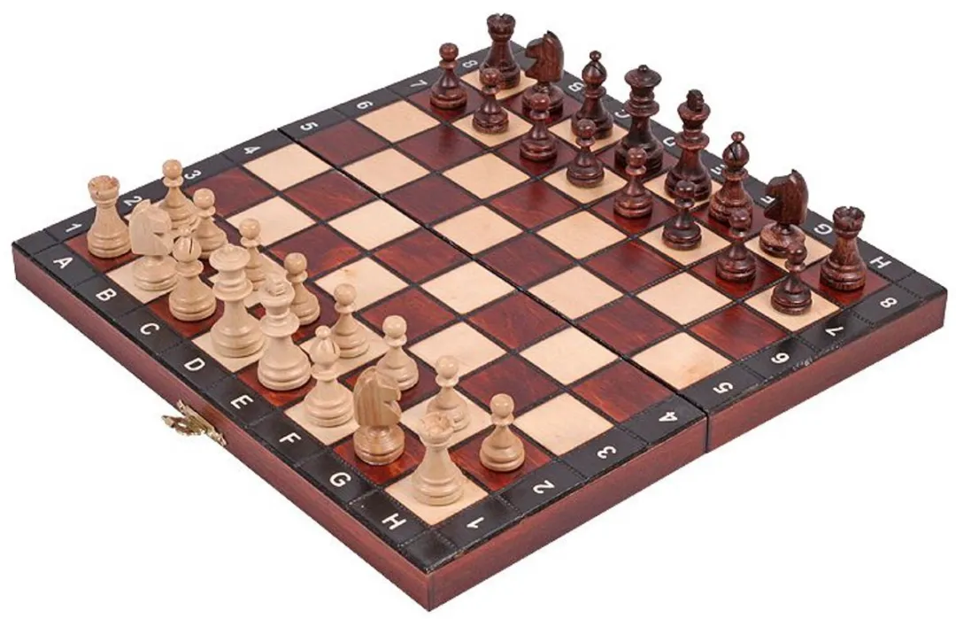 HOT Games Schaakcassette Magnetisch Hout 672701