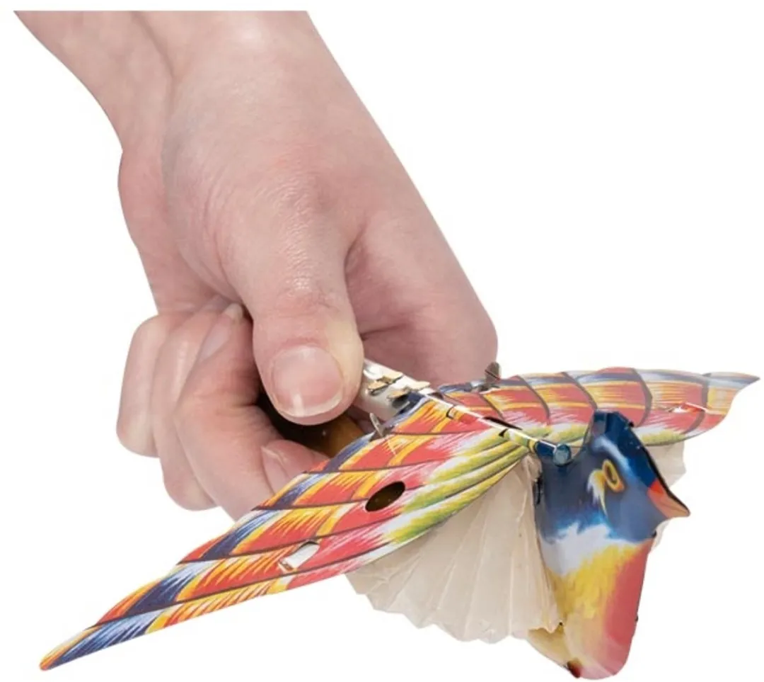 Goki Zangvogel GK14189 Speelgoed - Multicolor