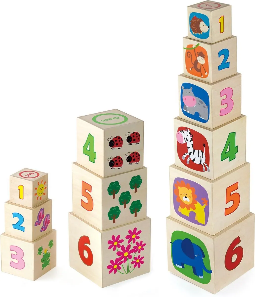 Vigatoys Educatief Spel Stapelkubus 50392 - Meerdere kleuren