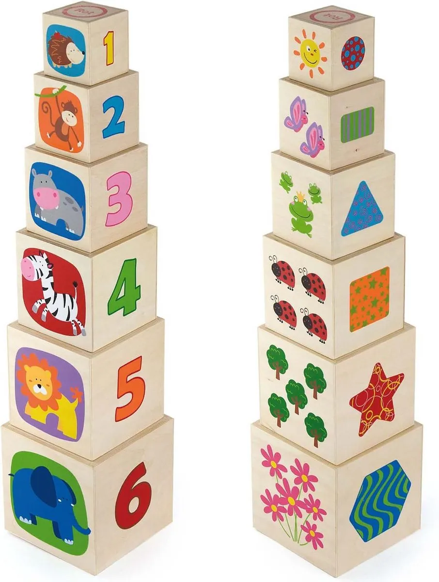 Vigatoys Educatief Spel Stapelkubus 50392