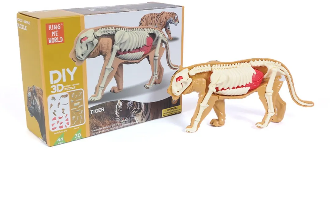 PIA Soft Toys 3D Anatomie Tijger