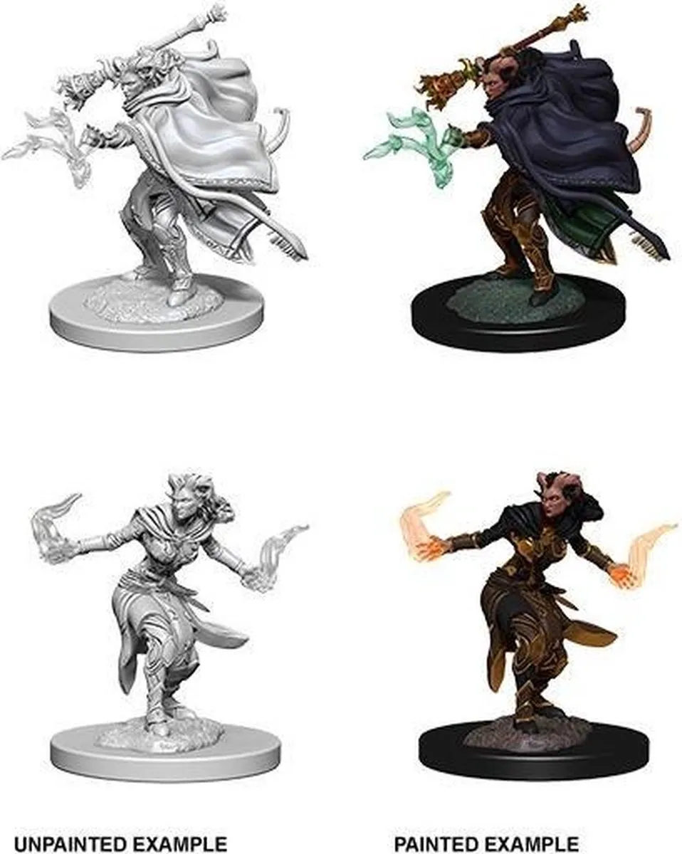 Wizkids D&D Female Tiefling Warlock