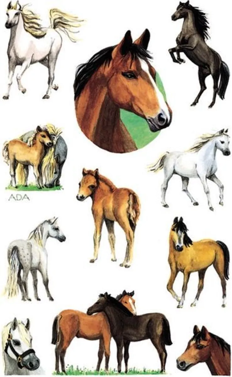 Avery Stickervel Paard Junior 22-delig - 7,6x12cm - Bruin