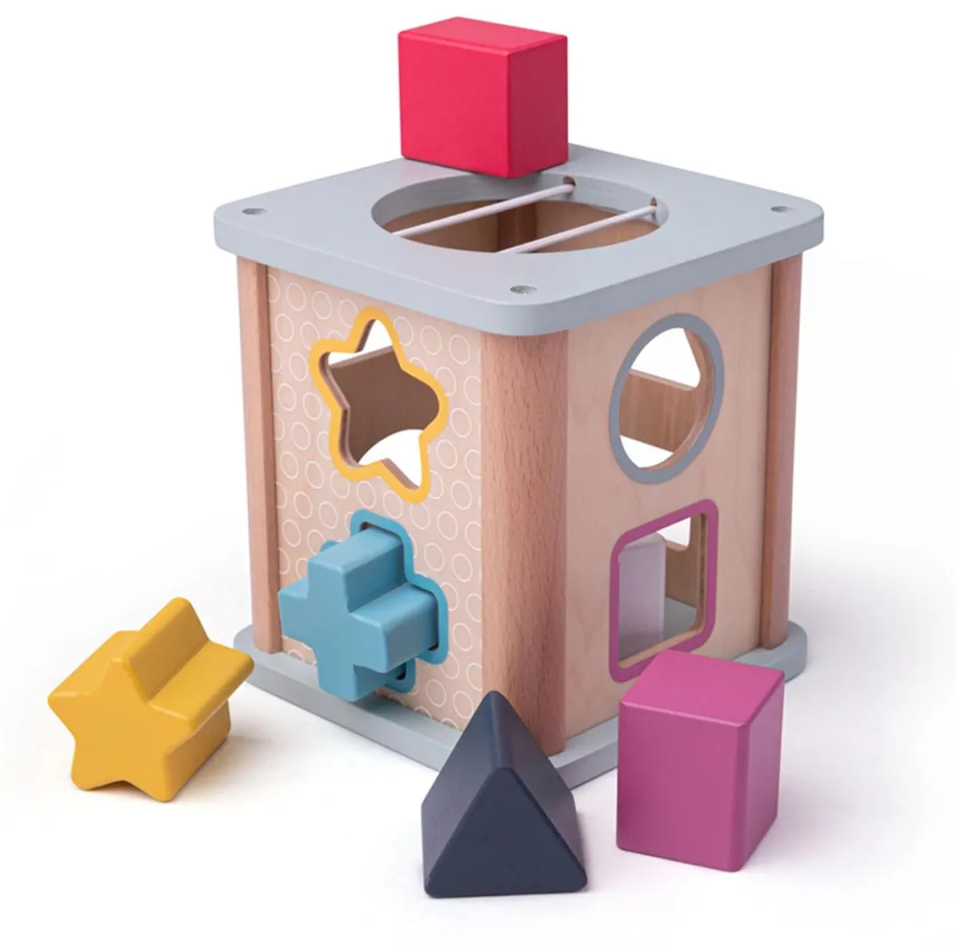 BIGJIGS Houten Vormensorteerder 33010 - Multikleuren