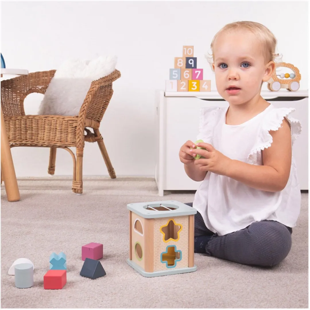 BIGJIGS Houten Vormensorteerder 33010 - Multikleuren