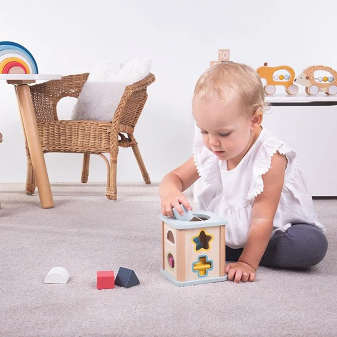 BIGJIGS Houten Vormensorteerder 33010 - Multikleuren