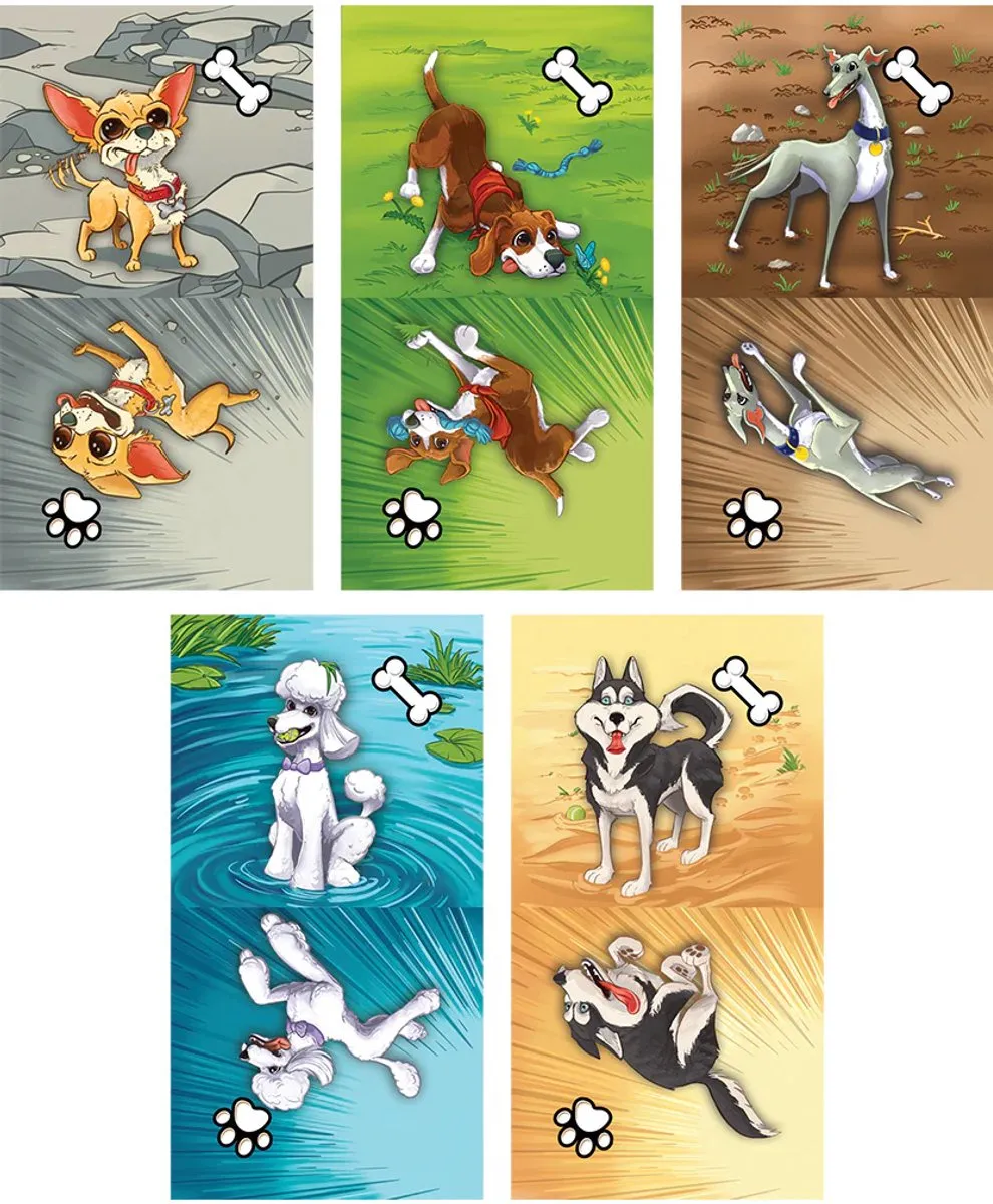 Zoomies - Bordspel - Fireside Games