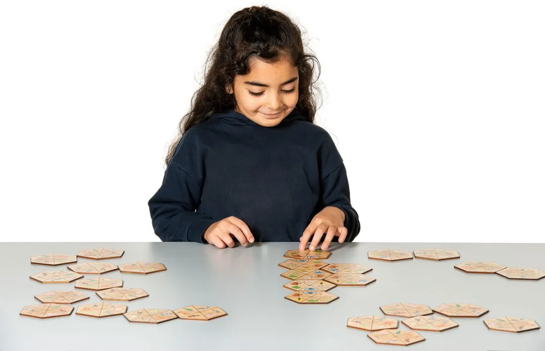 Toys for Life Hexagon Natuur Speelgoed - 30 Stuks Hout