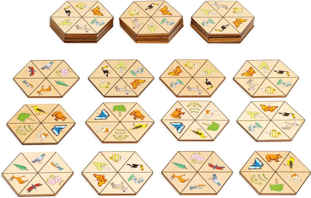 Toys for Life Hexagon Natuur Speelgoed