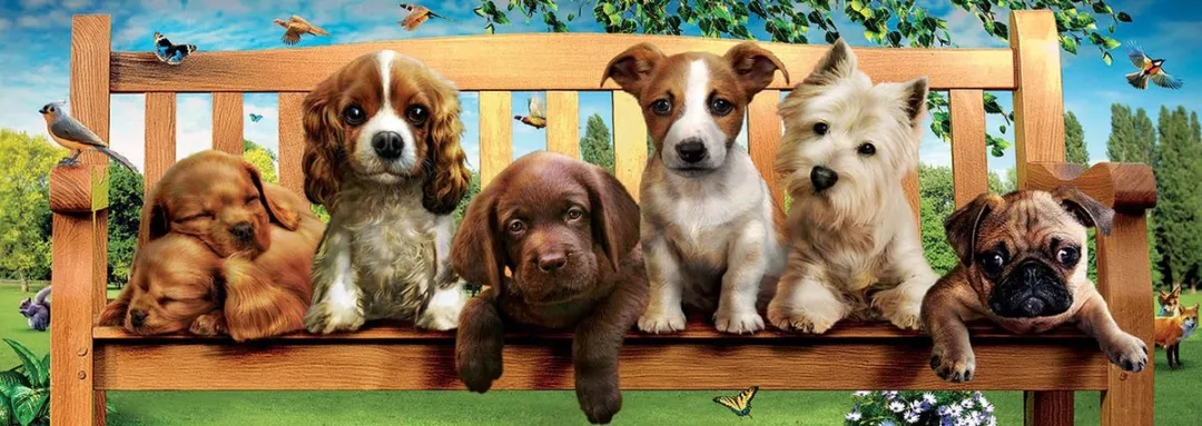 Educa Panorama Legpuzzel Puppies op de Bank 1000 Stuks