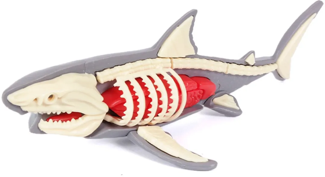 PIA Soft Toys Haai 3D Anatomie - Grijs