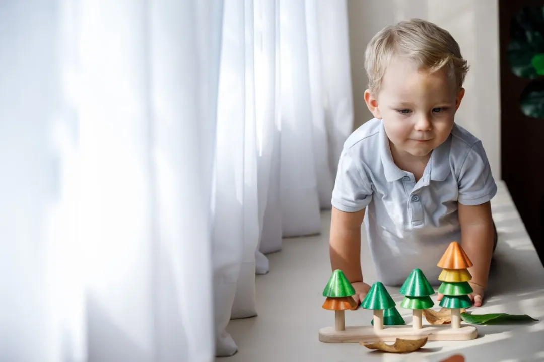 Plantoys Houten Bomen Sorteren & Tellen 5403 - Meerkleurig