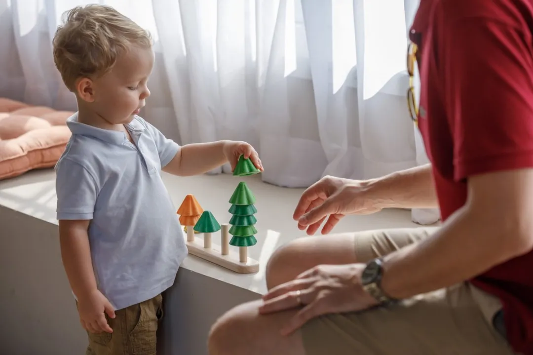 Plantoys Houten Bomen Sorteren & Tellen 5403 - Meerkleurig