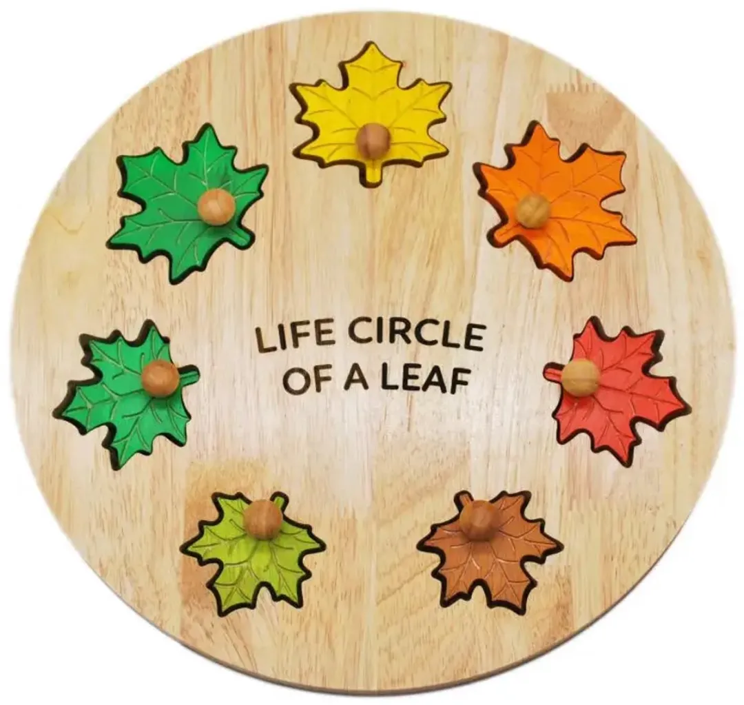 Leaf Circle Of Life puzzel – houten educatief speelgoed natuur