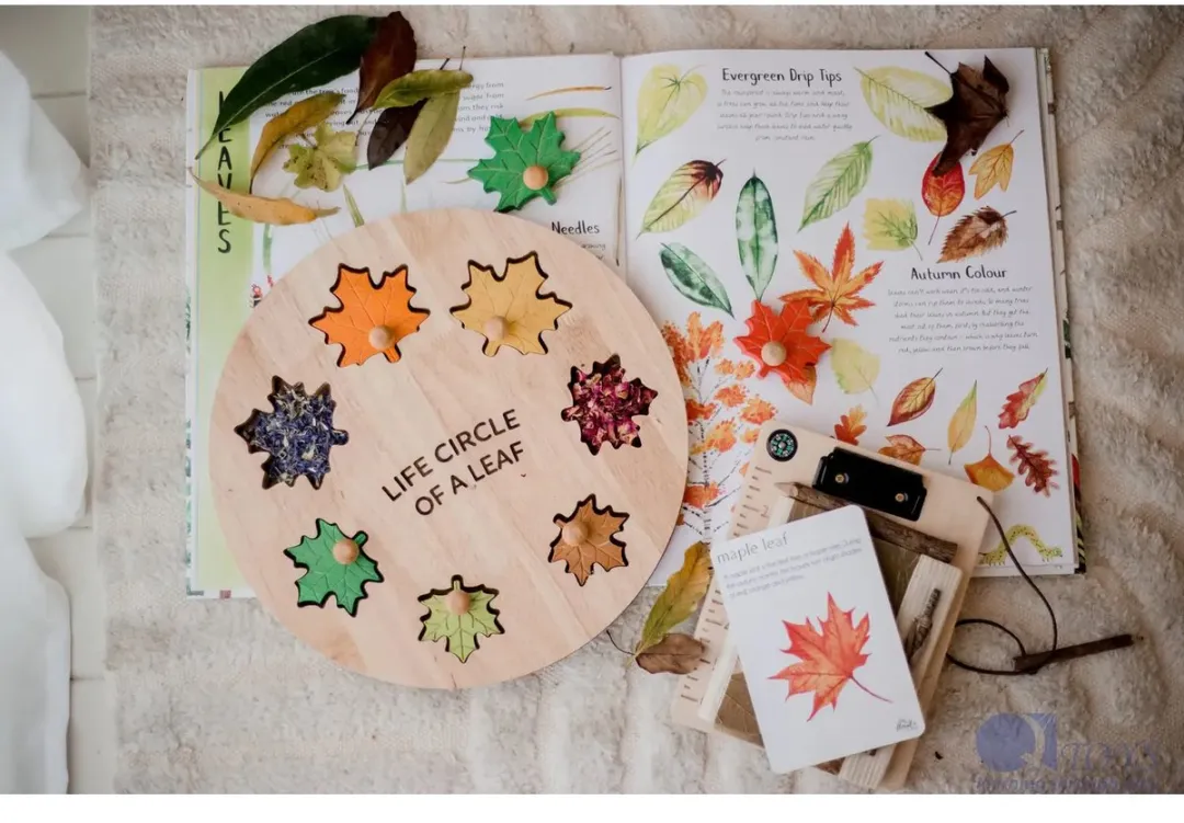 Leaf Circle Of Life puzzel – houten educatief speelgoed natuur