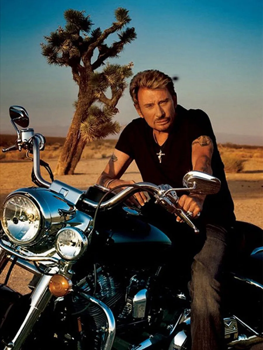VDTOYS DIAMOND Painting VDTA097 Biker