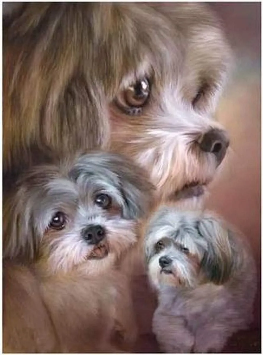 VDTOYS Diamond Painting VDTB128