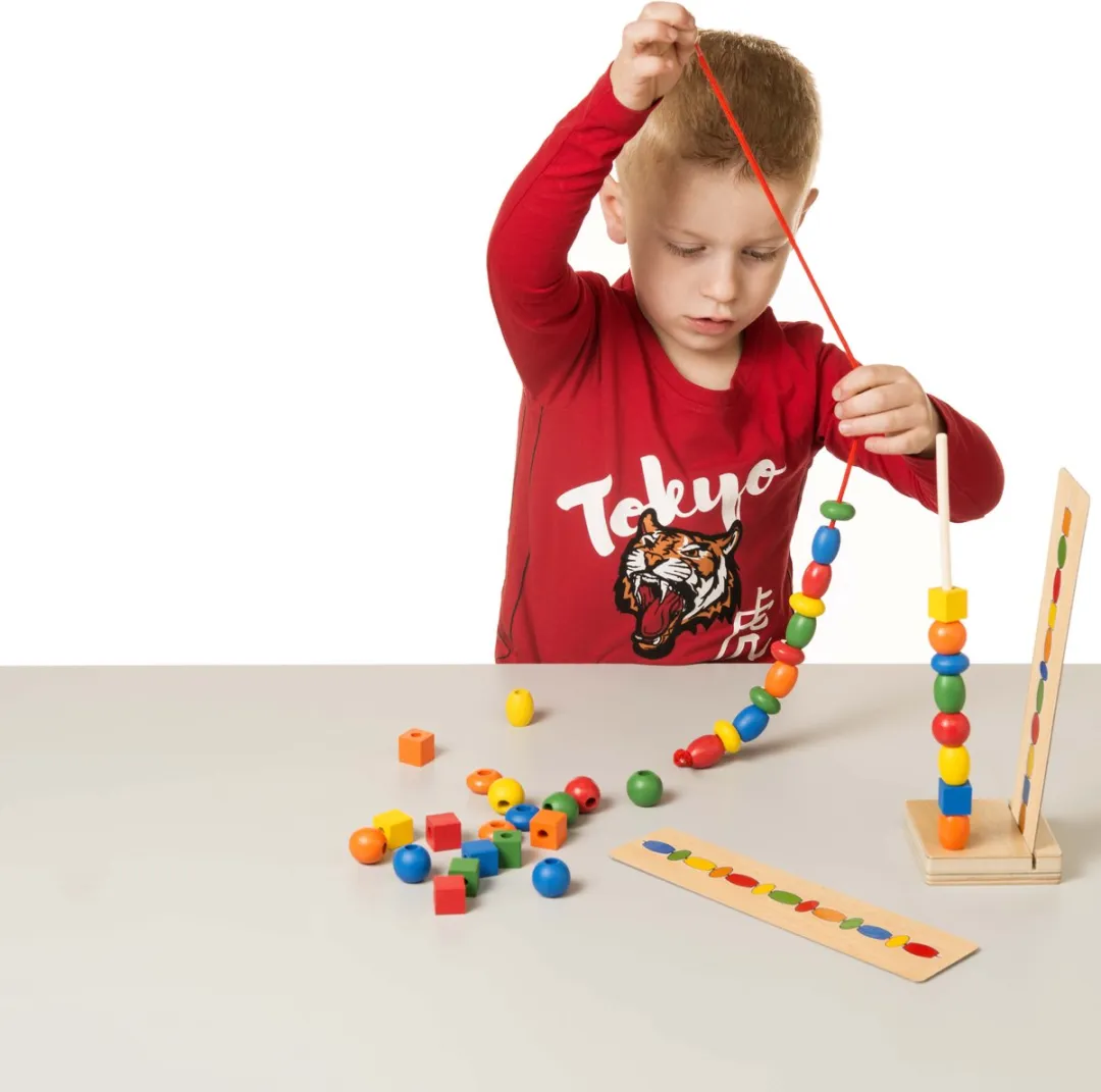 Toys for Life Sorteer de kralen Houten Speelgoed - 40 Kralen - Assorti