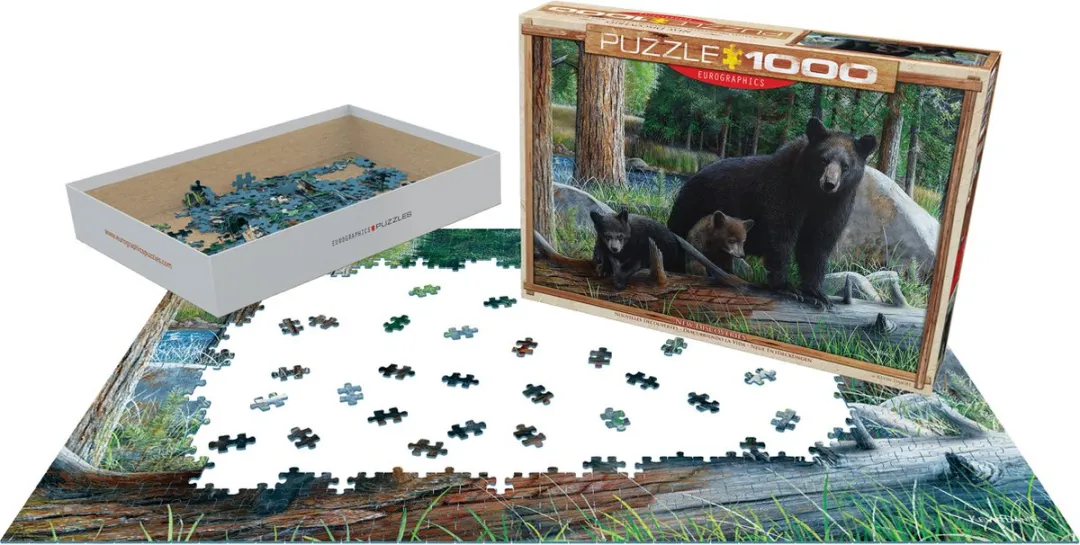 Eurographics New Discoveries Daniel Puzzel 1000 Stuks - Multicolor