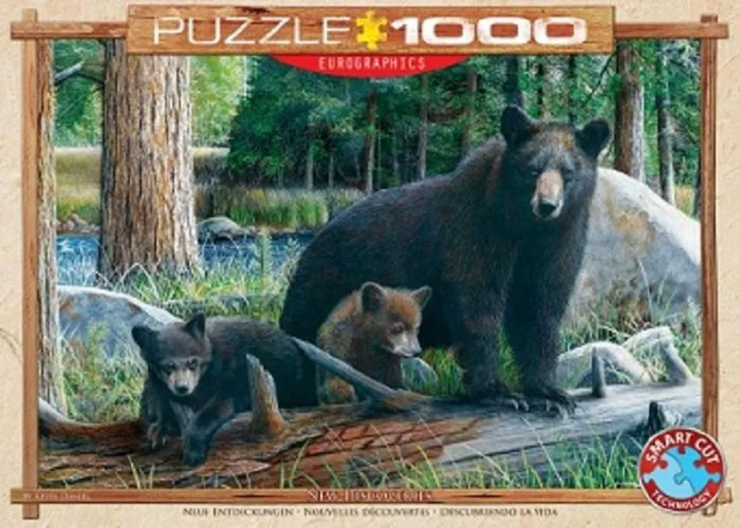 Eurographics New Discoveries Daniel Puzzel 1000 Stuks - Multicolor