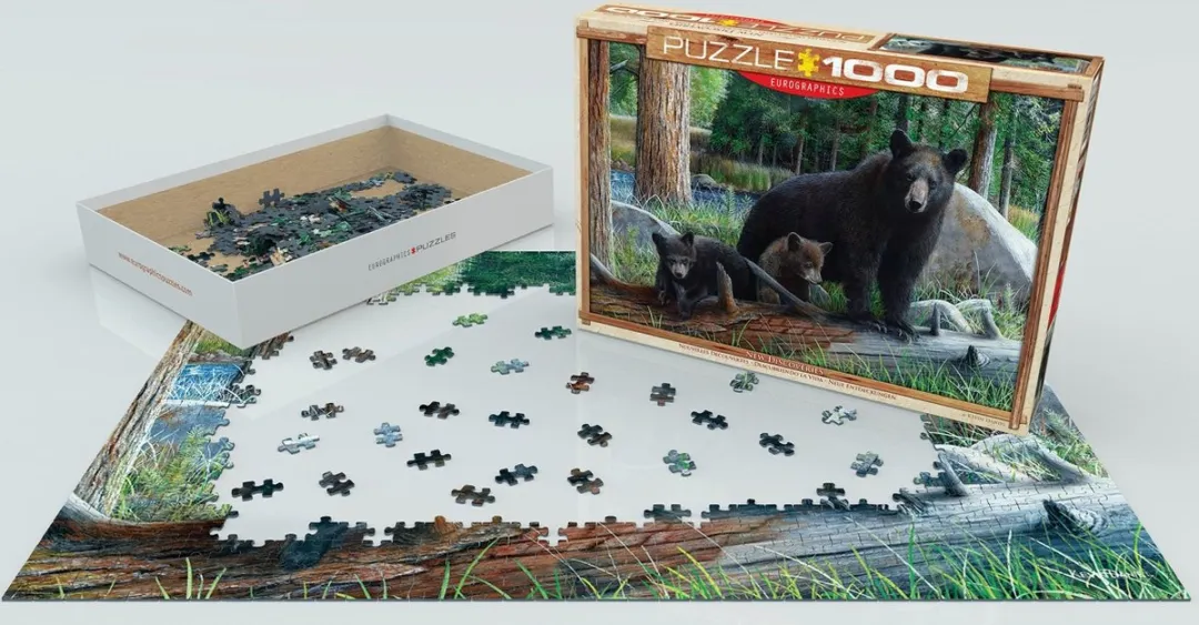 Eurographics New Discoveries Daniel Puzzel 1000 Stuks - Multicolor