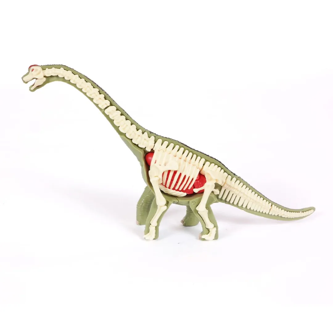 PIA Soft Toys Dino 3D Anatomie Brachiosaurus - afbeelding 6 van 6