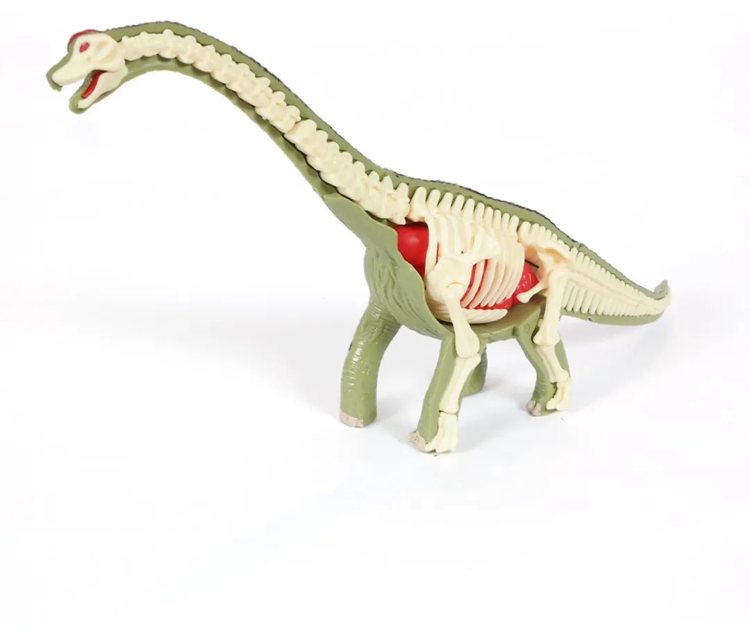 PIA Soft Toys Dino 3D Anatomie Brachiosaurus
