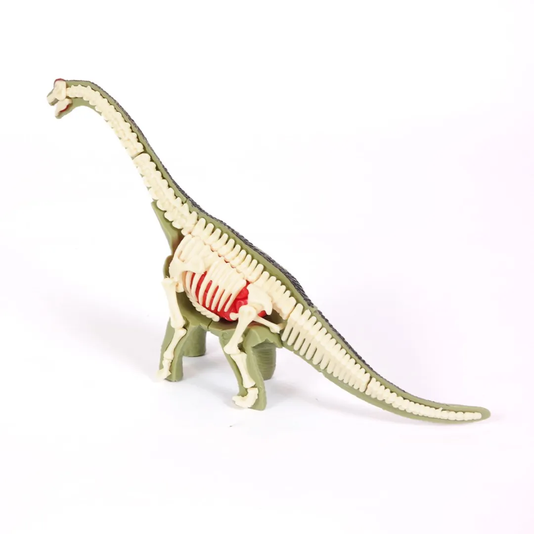 PIA Soft Toys Dino 3D Anatomie Brachiosaurus