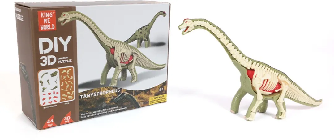 PIA Soft Toys Dino 3D Anatomie Brachiosaurus