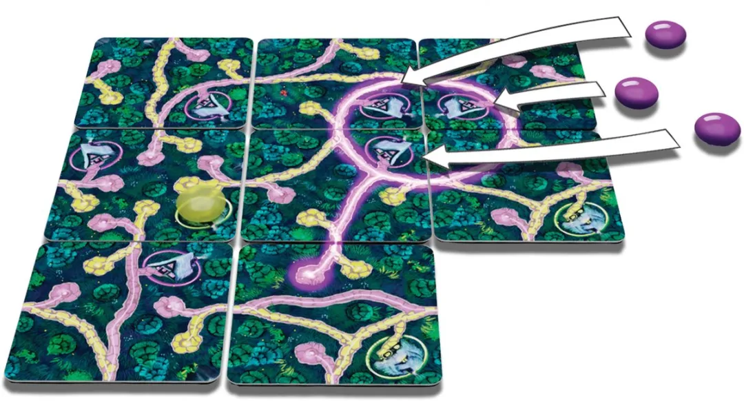 White Goblin Games Fairy Trails Gezelschapsspel - 1-2 spelers