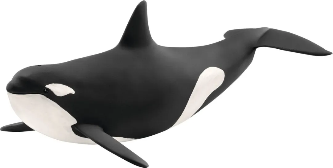 Schleich WILD LIFE Orka 14807 Speelfiguur