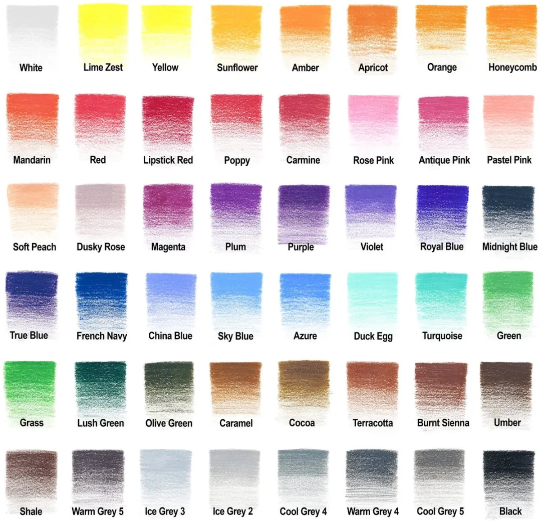 Winsor & Newton Studio Collection Kleurpotloden 48 Stuks - Dikcores Wax-Based