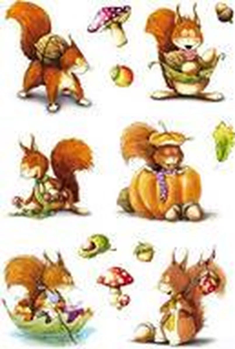 Herma Jungle Dieren Stickers - 24 Stuks