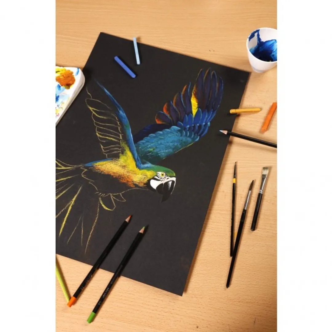 Clairefontaine Paint On Tekenpapier 50x65cm - 250g - Zwart - 10 Vel