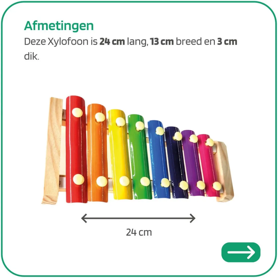 Jobber Toys Xylofoon Blokfluit Instrumenten Set - Xylofoon + Blokfluit