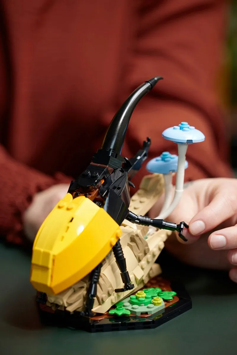 LEGO Ideas De Insectencollectie 21342 - 1111 Stukken - Veelkleurig - afbeelding 6 van 6