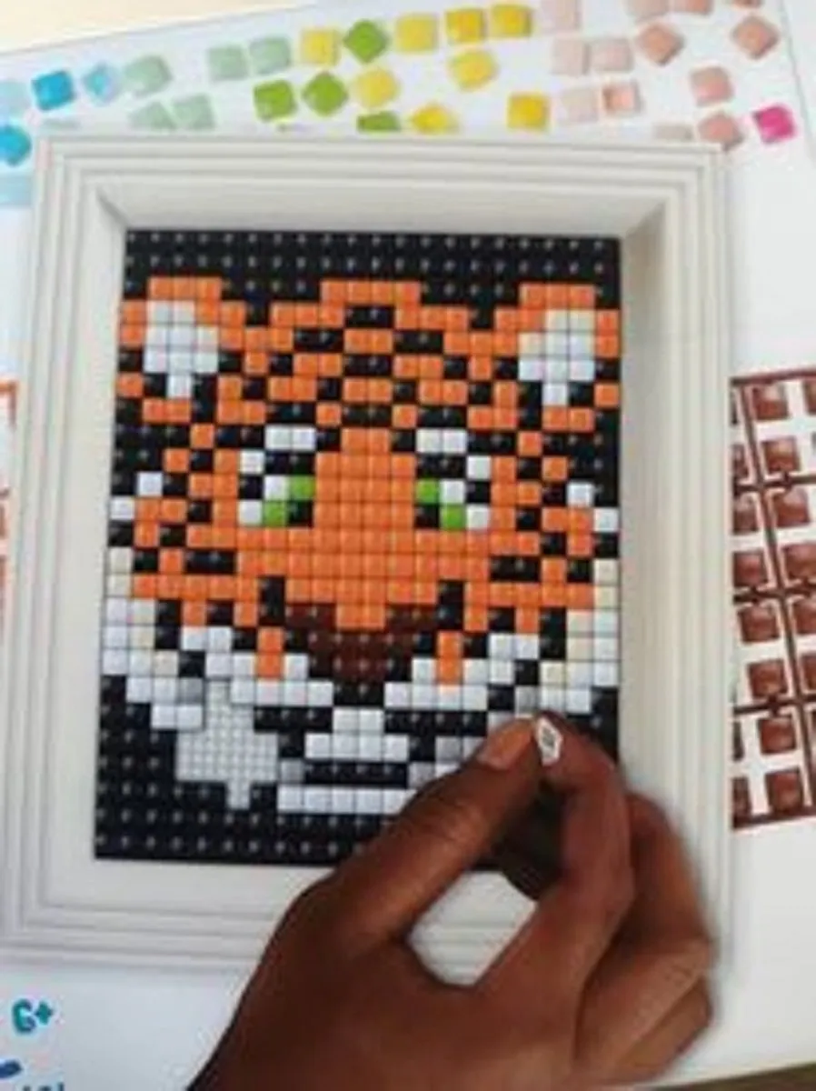 Pixel Hobby XL Hobbypakket Tijger