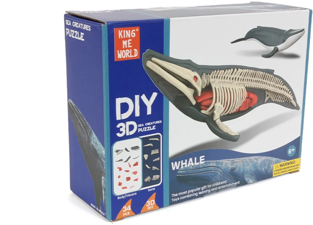 PIA Soft Toys Walvis 3D Anatomie