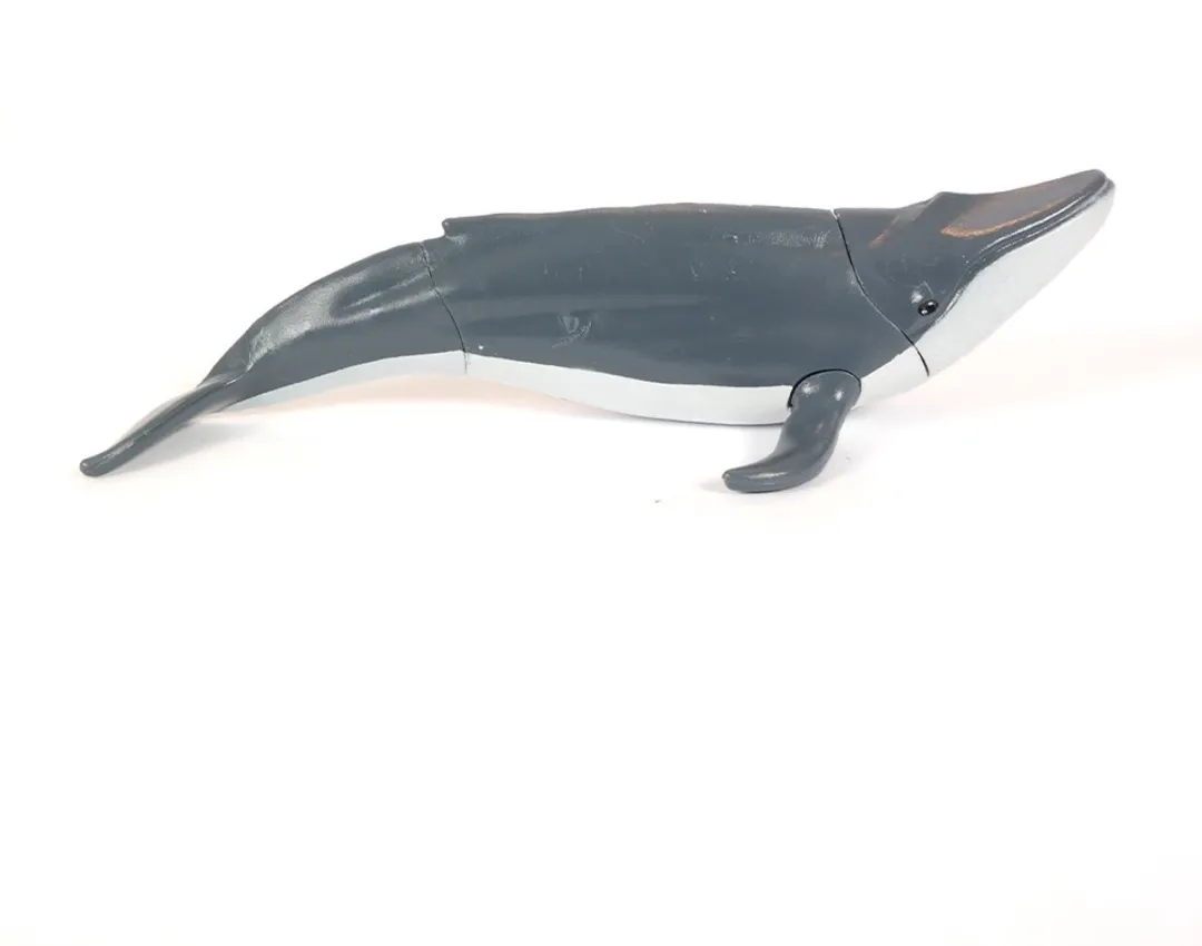 PIA Soft Toys Walvis 3D Anatomie - afbeelding 6 van 6