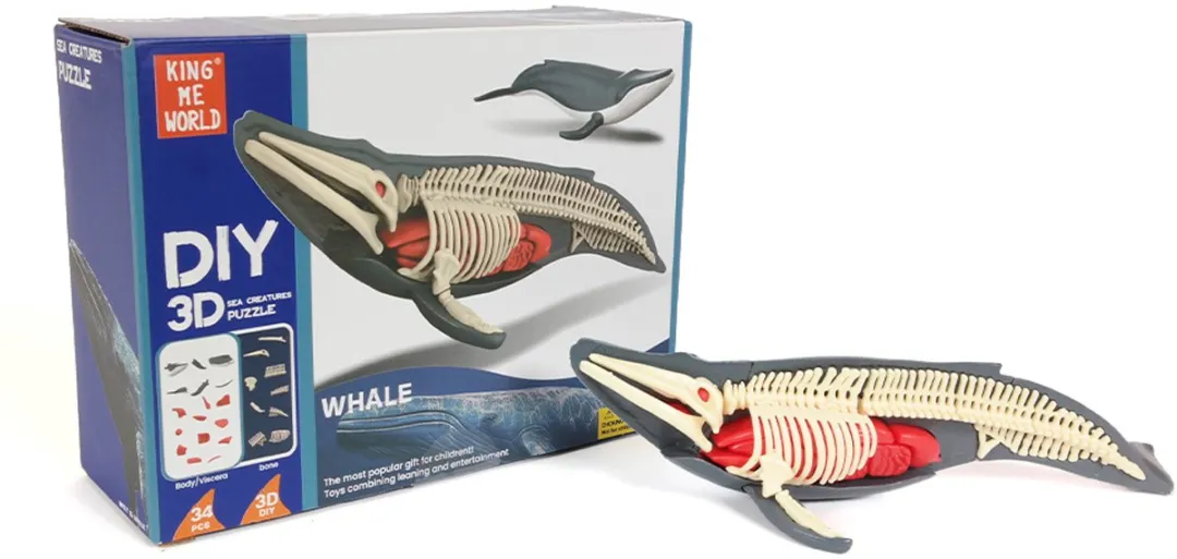 PIA Soft Toys Walvis 3D Anatomie