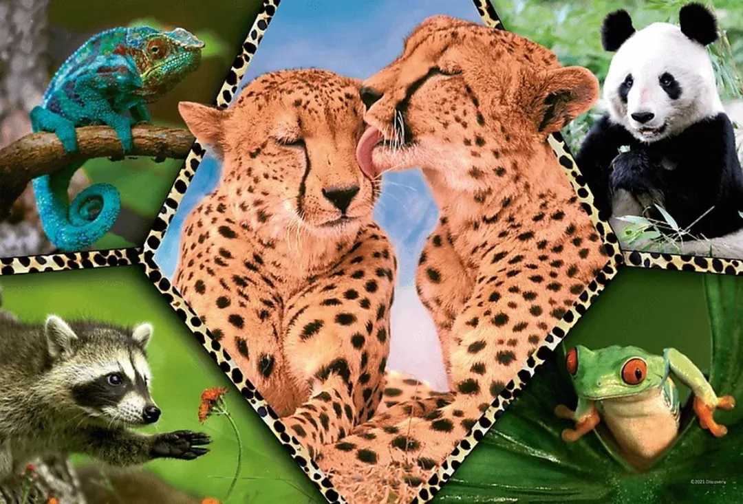 Trefl 100 Puzzels - Ontdekking Animal Planet 100 Stuks - Meerkleurig
