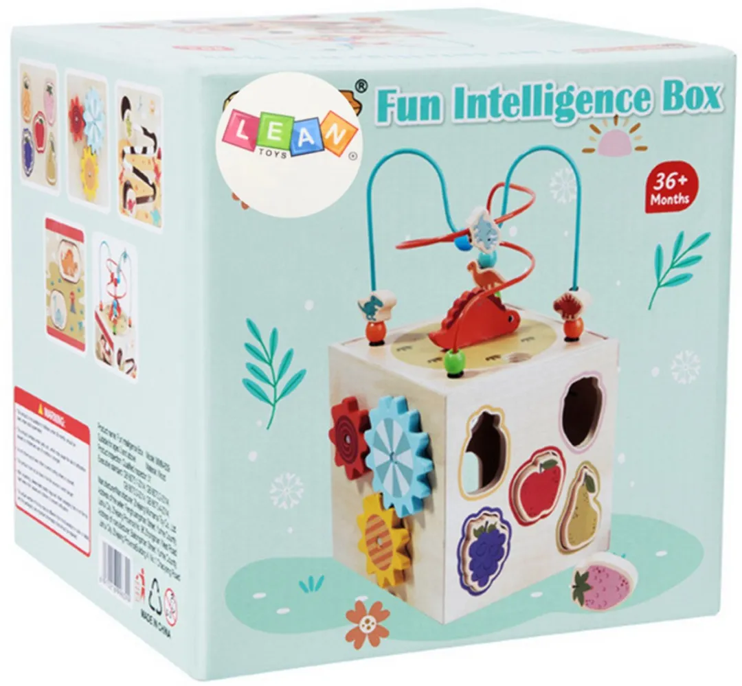 Lean Toys Leerkubus Montessori 5-in-1 - Hout