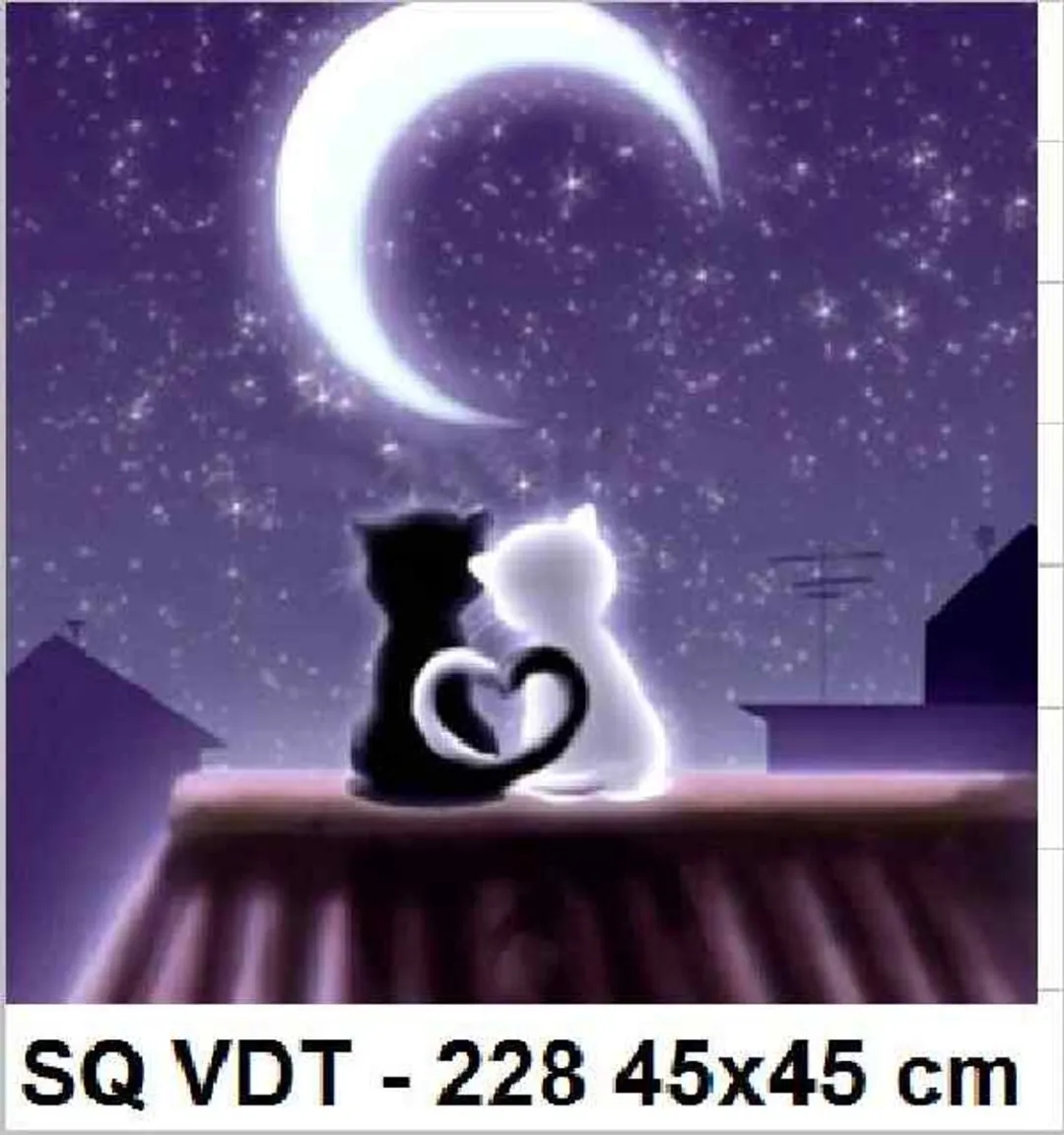 VDTOYS Diamond Painting VDTC228 Groot 45x45cm - Rendez Vous op het Dak