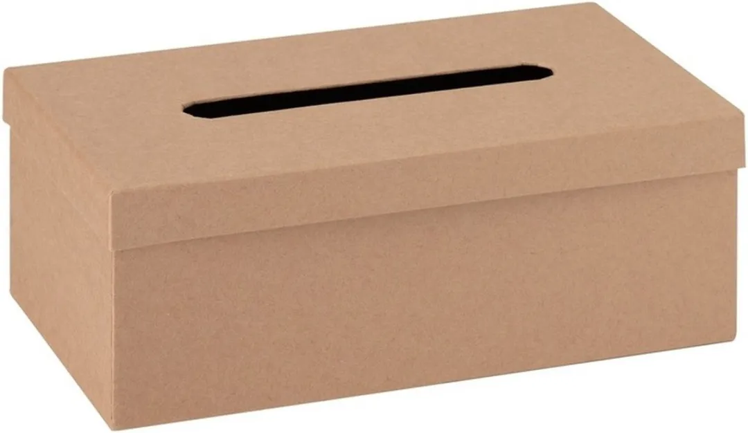 Glorex Hobby Kartonnen Ideenbus 25cm