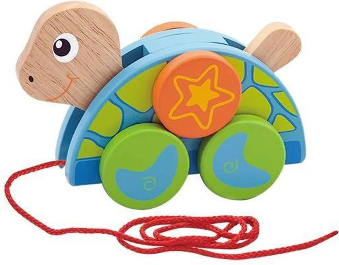 Vigatoys Trekdier Schildpad - Multi