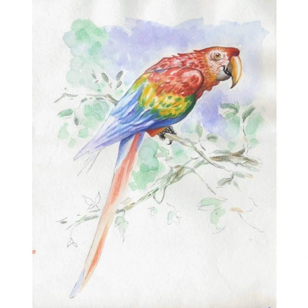 Clairefontaine Dieren Aquarelblok Voorgedrukt 30x40cm - 15 Vel