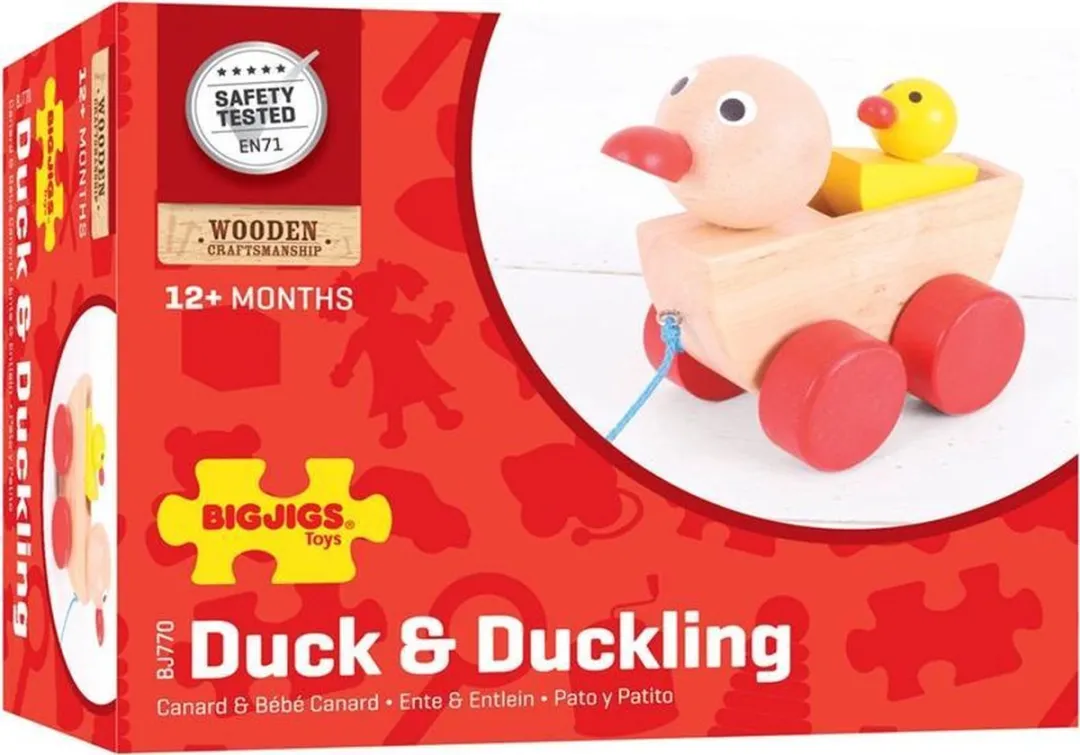 BIGJIGS Eend en Eendje Multikleur